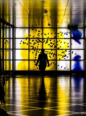 test widget 3 - foto + formularz